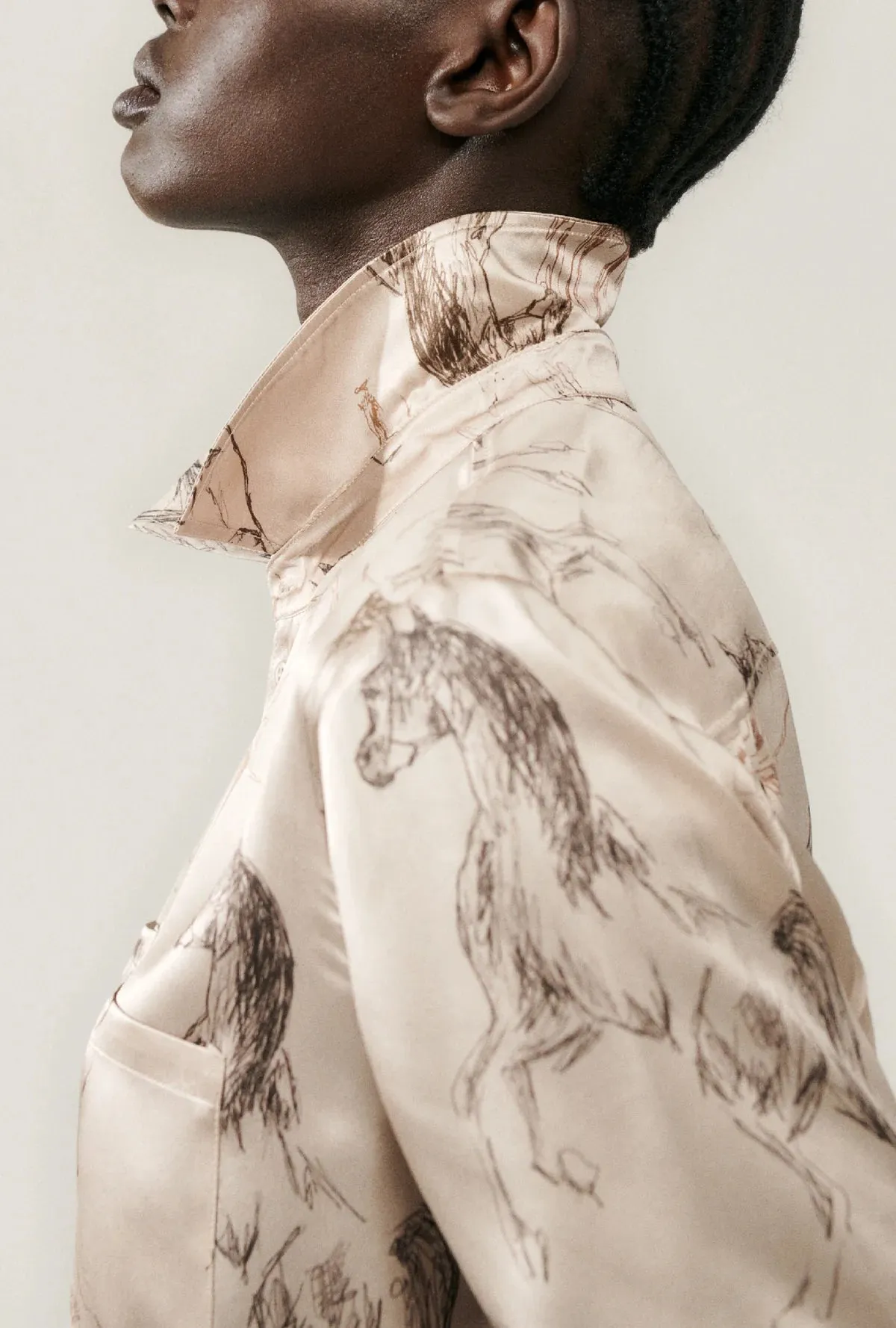 Boyfriend Shirt Wild Horses